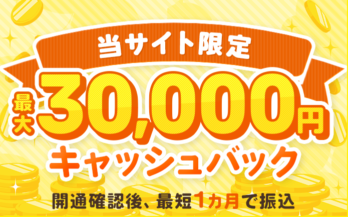 最大30,000円キャッシュバック