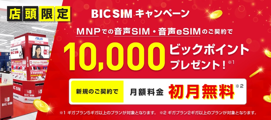 店頭申し込み限定 BIC SIMキャンペーン