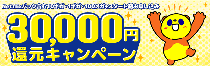 30,000円還元キャンペーン