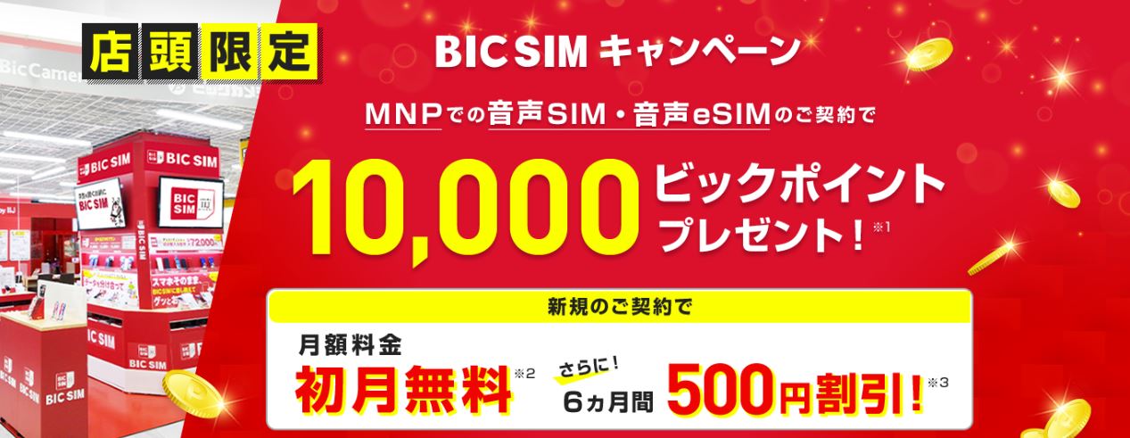 店頭申し込み限定 BIC SIMキャンペーン